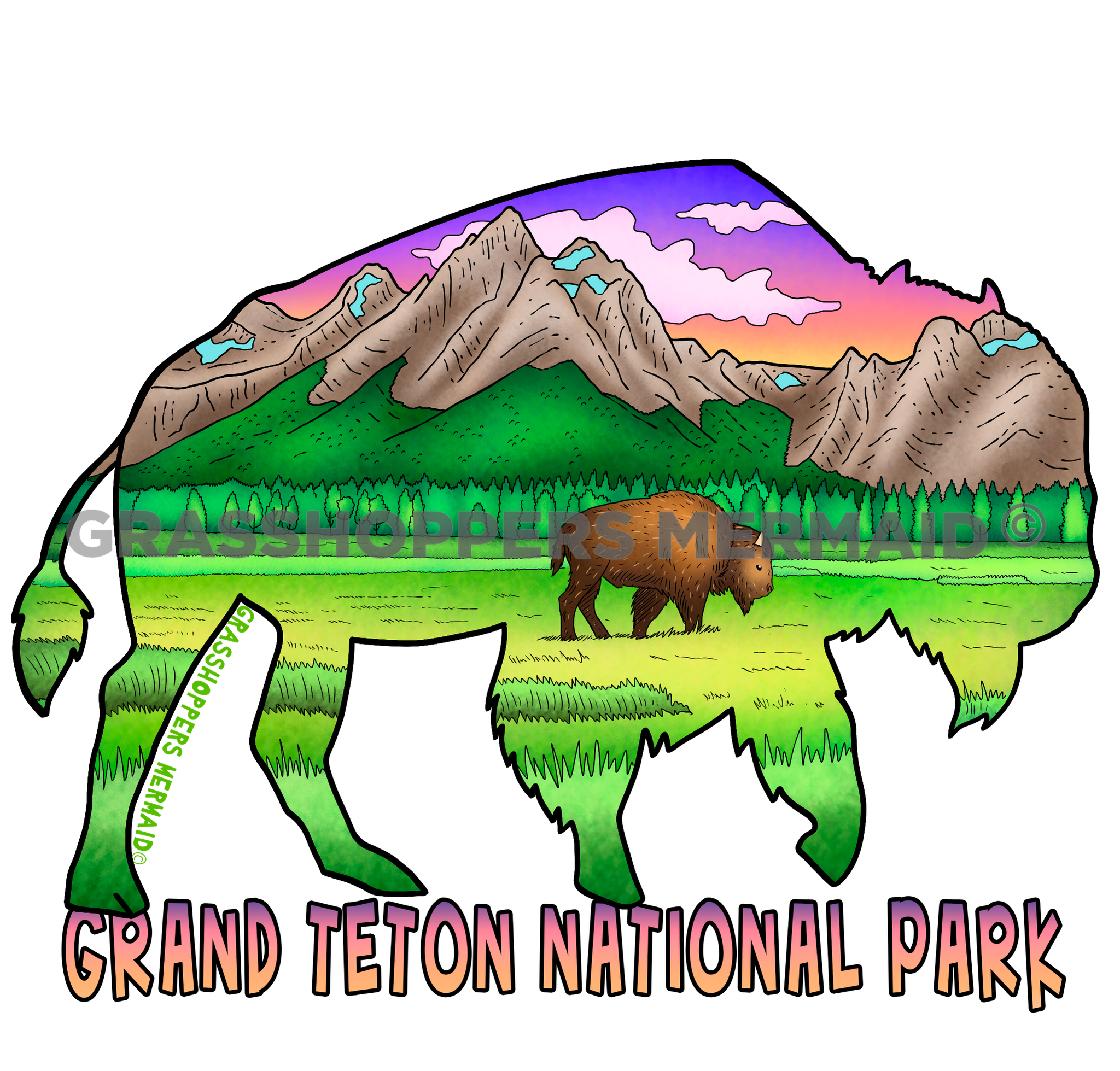 Teton Bison Outline