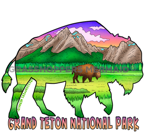 Teton Bison Outline