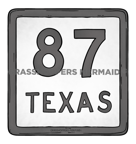 Texas 87 Sign