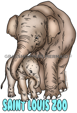 Thai Elephant Baby