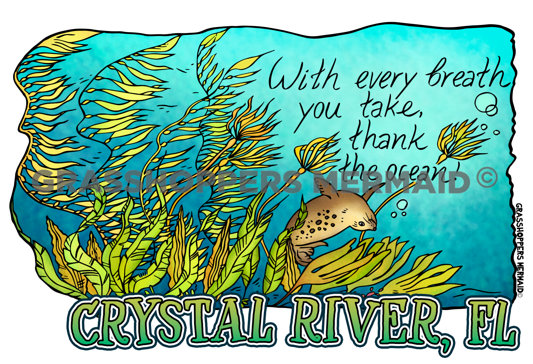 Thank the Ocean