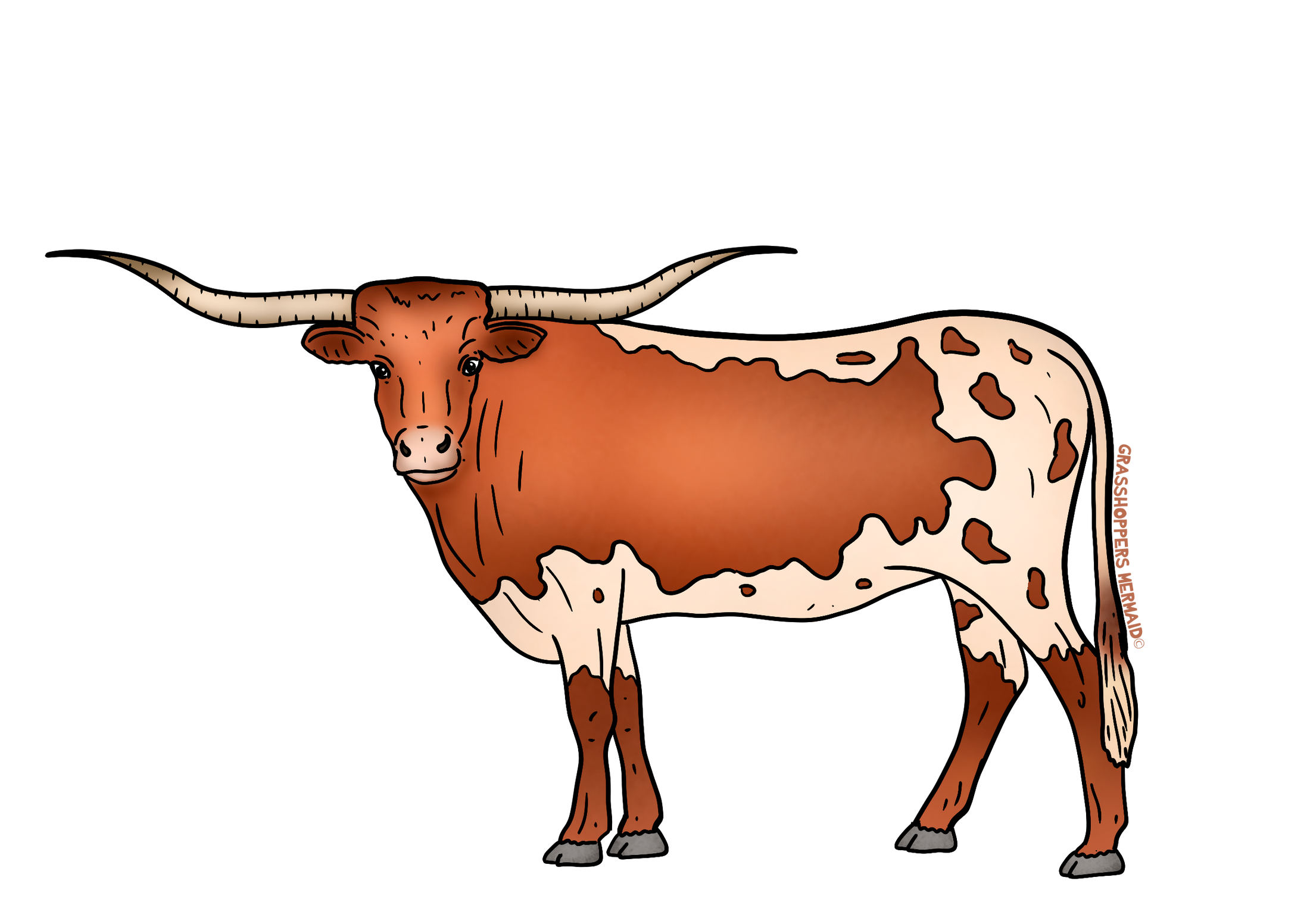 The Famous Longhorn
