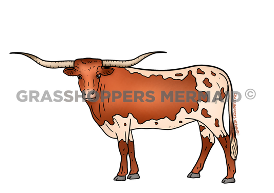 The Famous Longhorn