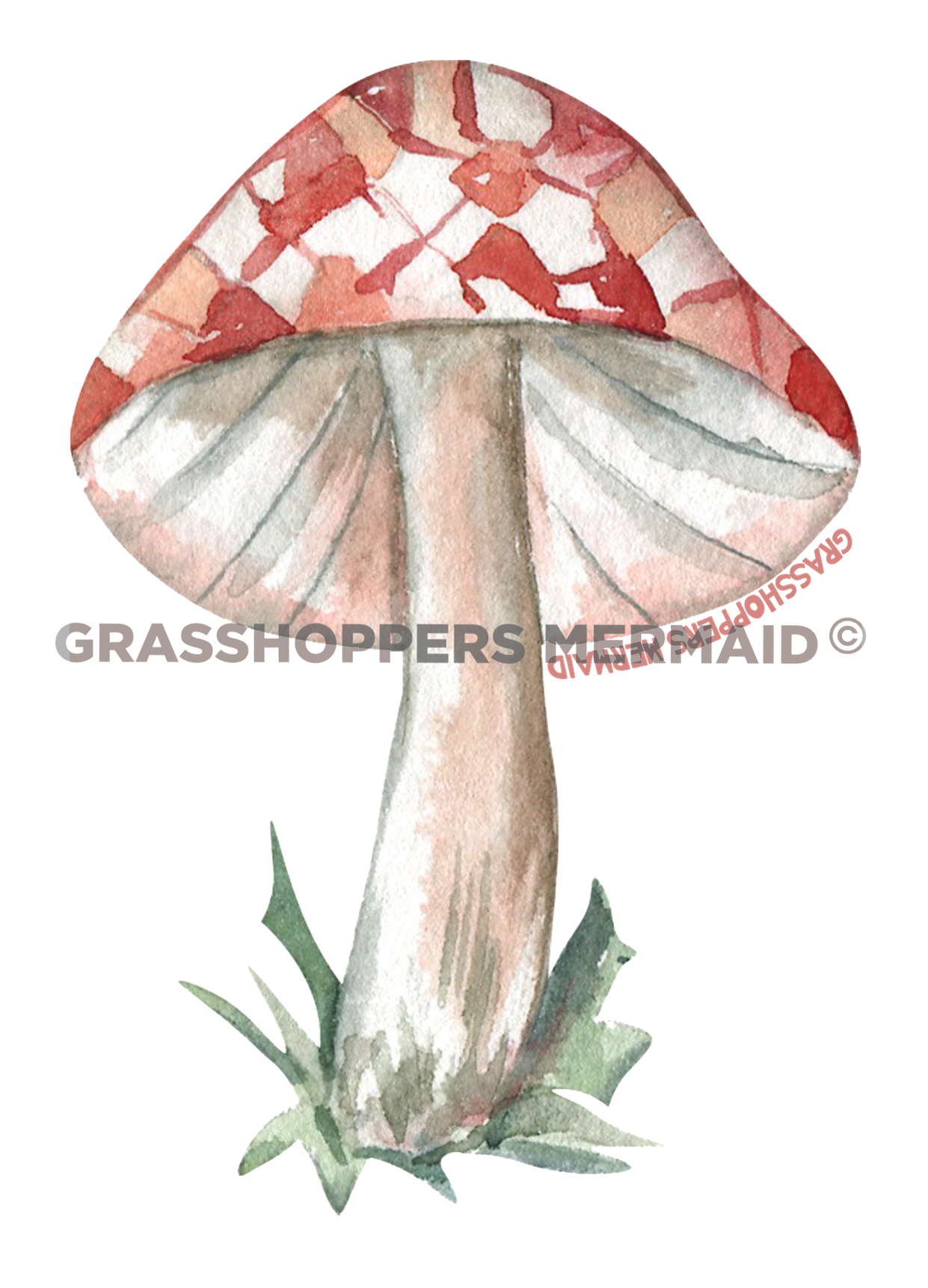 The Perfect Mushroom