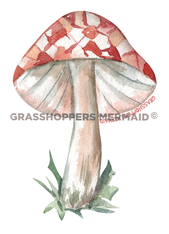 The Perfect Mushroom