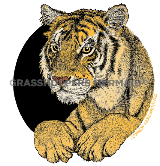 Tiger Portrait