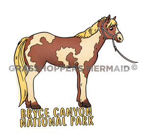 Tour Guide Pony