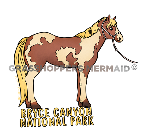 Tour Guide Pony