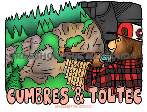 Tourist Train Bear