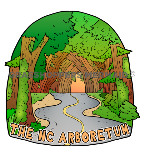 Tree Tunnel