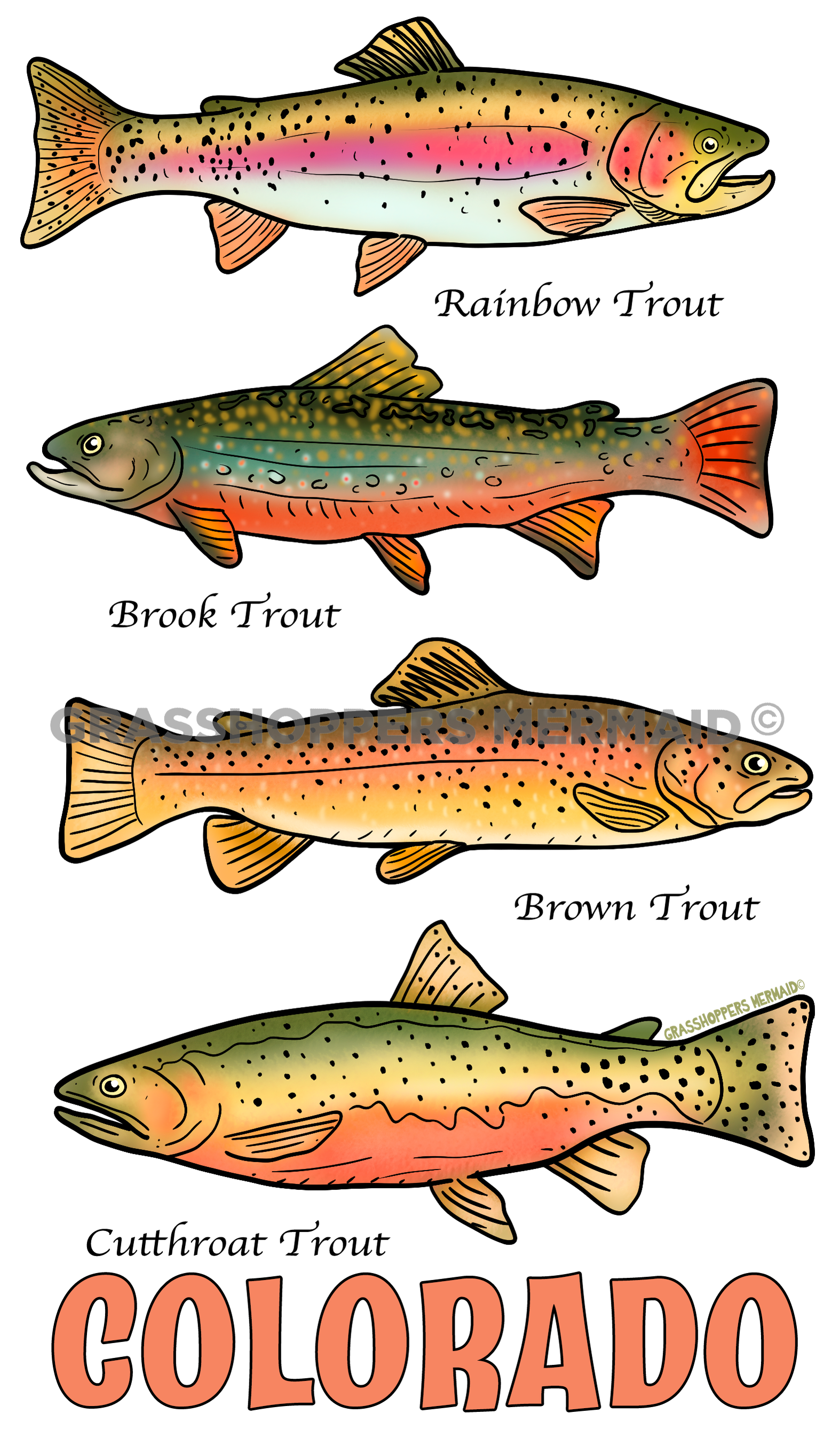 Trout Collage