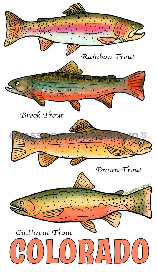 Trout Collage