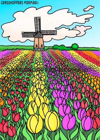 Rainbow Tulip Field