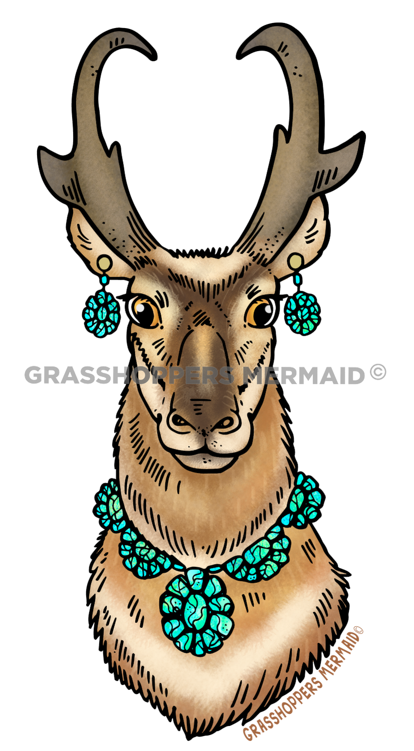 Turquoise Pronghorn