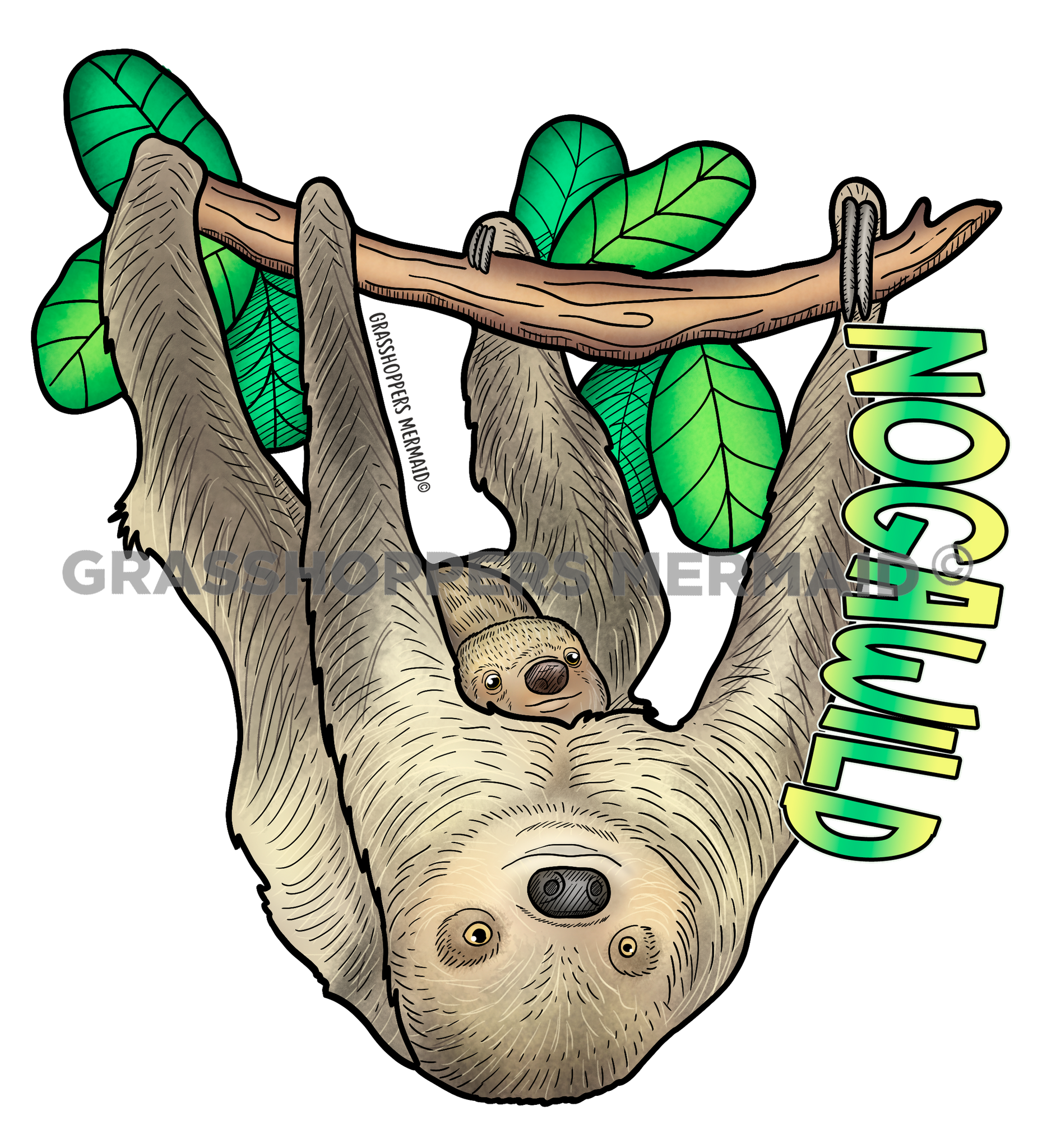 Two-Toed Sloth Fam