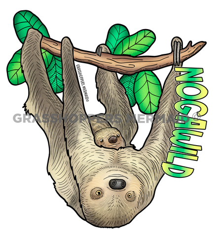 Two-Toed Sloth Fam