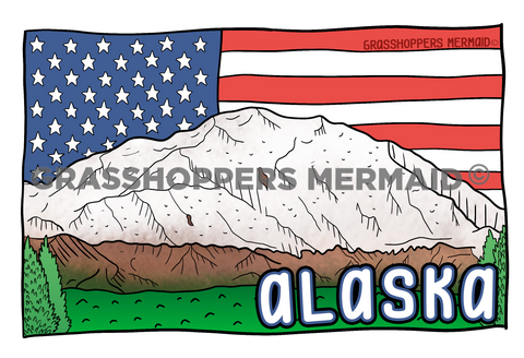USA Denali Flag