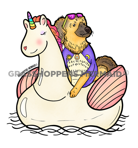 Unicorn Floaty Dog