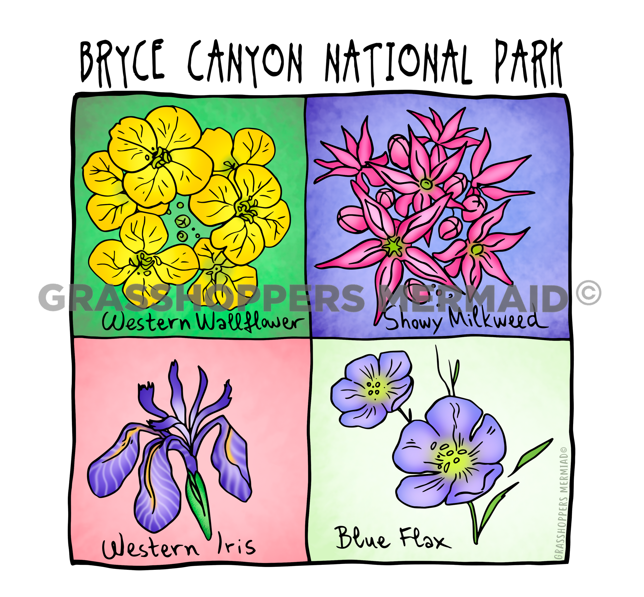 Utah Wild Flowers