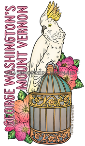 Vintage Cockatoo