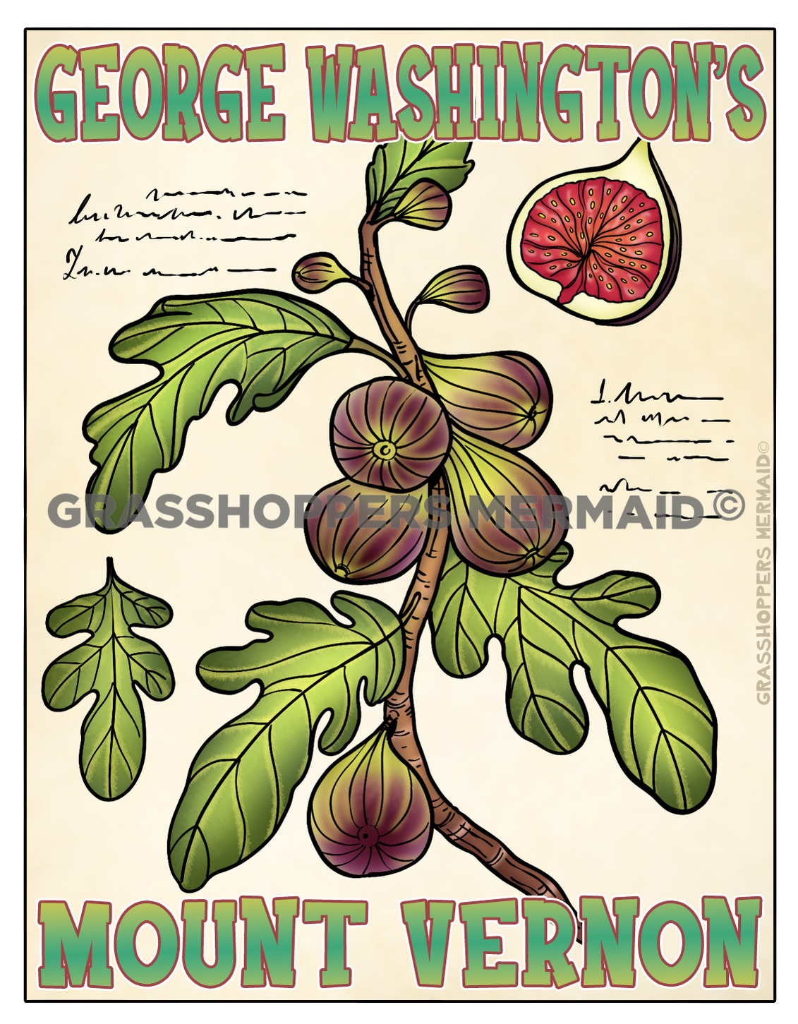 Vintage Figs