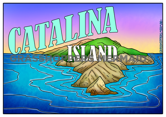 Vintage Catalina Postcard
