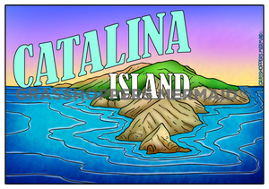 Vintaga Catalina Postcard