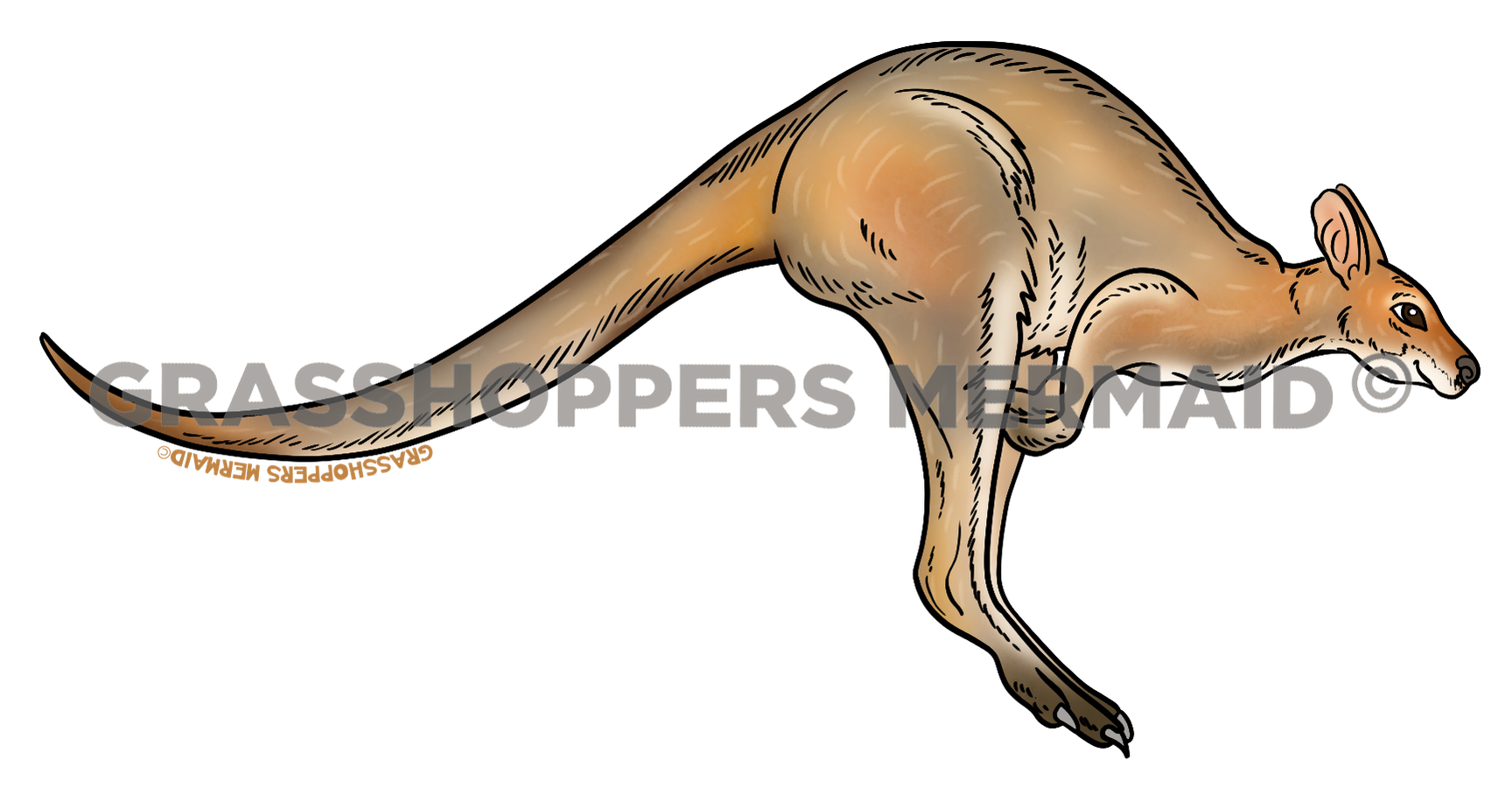 Wallaby Races