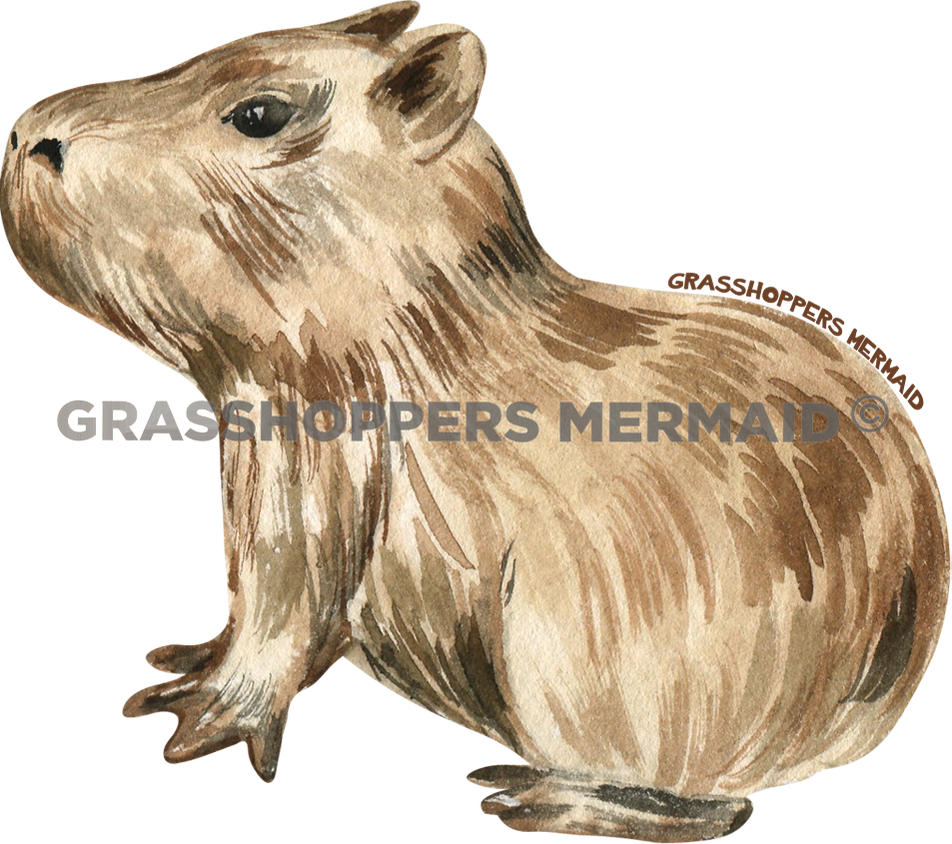 Watercolor Baby Capybara