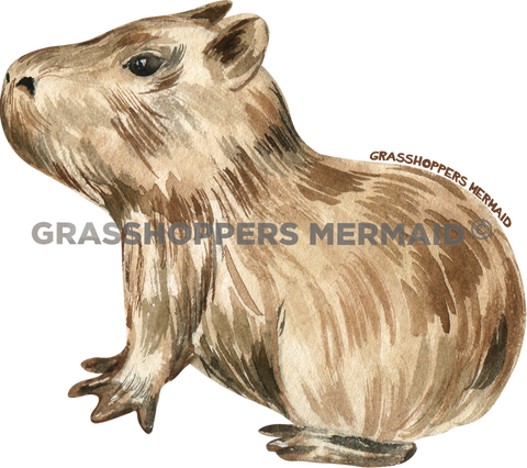 Watercolor Baby Capybara