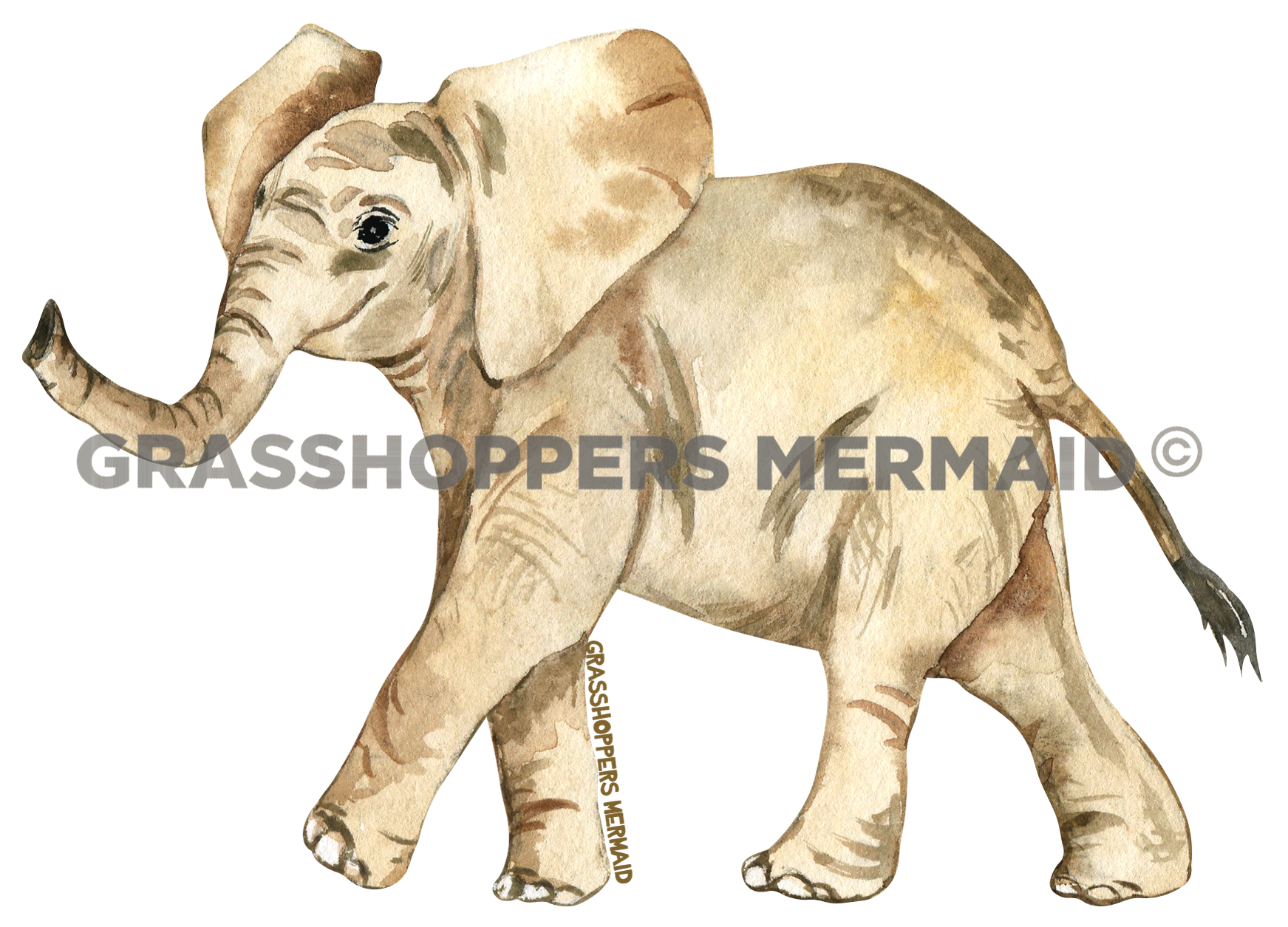 Watercolor Baby Elephant
