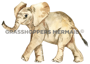Watercolor Baby Elephant