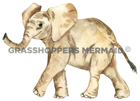 Watercolor Baby Elephant