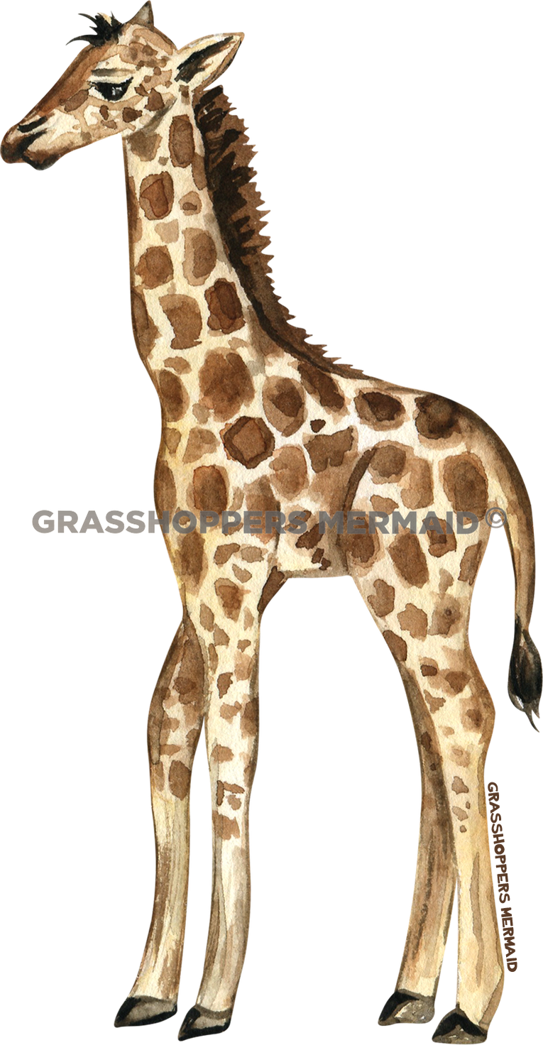 Watercolor Baby Giraffe