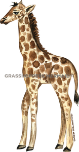 Watercolor Baby Giraffe
