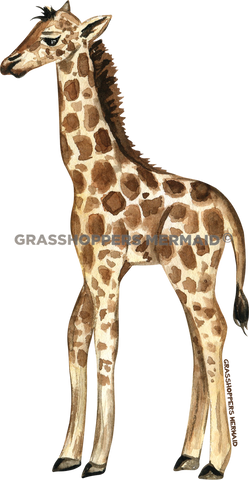 Watercolor Baby Giraffe