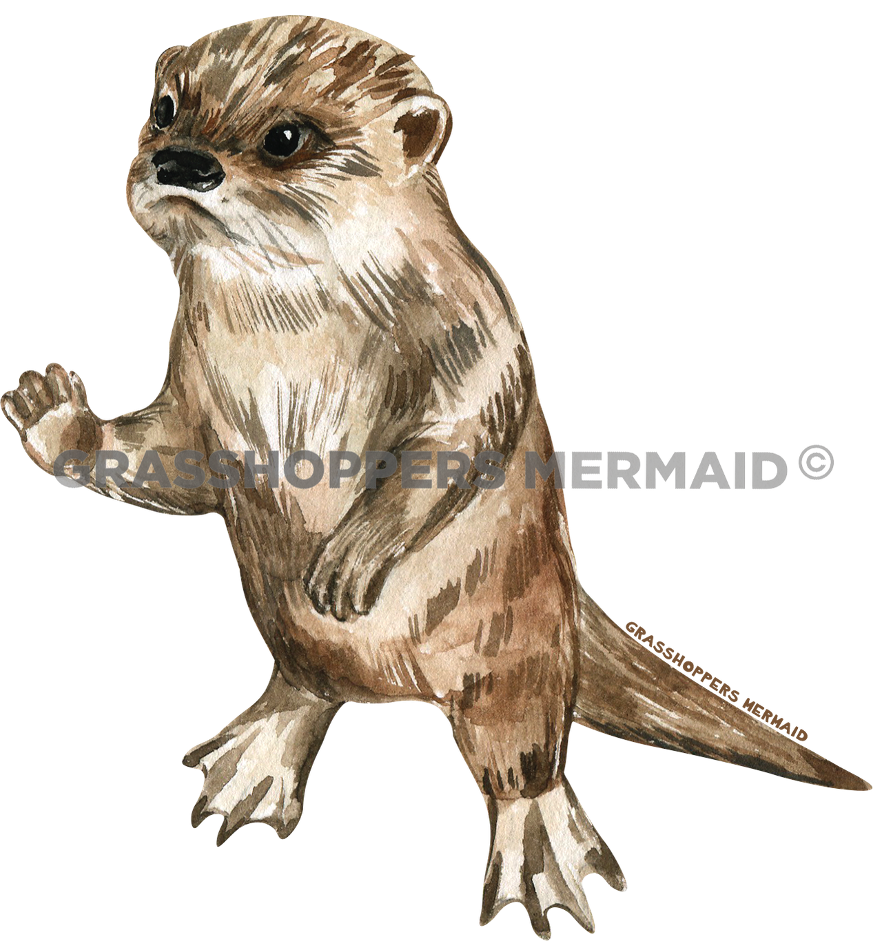 Watercolor Baby Otter