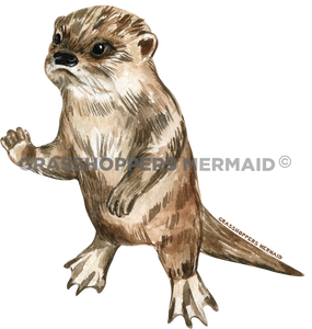 Watercolor Baby Otter