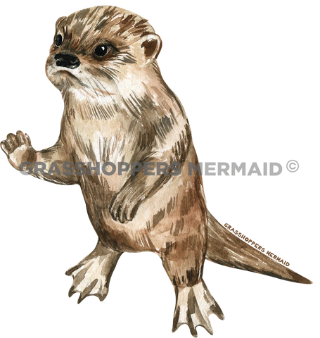 Watercolor Baby Otter