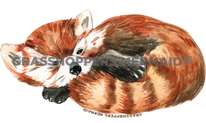 Watercolor Baby Red Panda