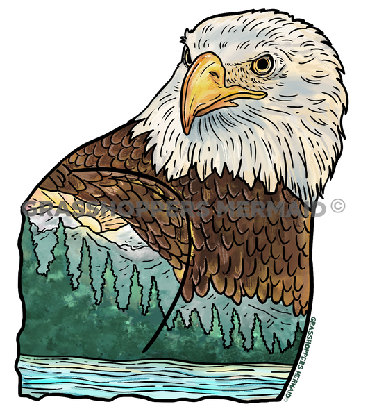 Watercolor Bald Eagle