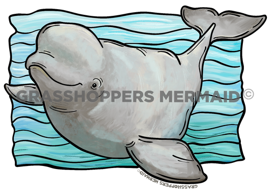 Watercolor Beluga