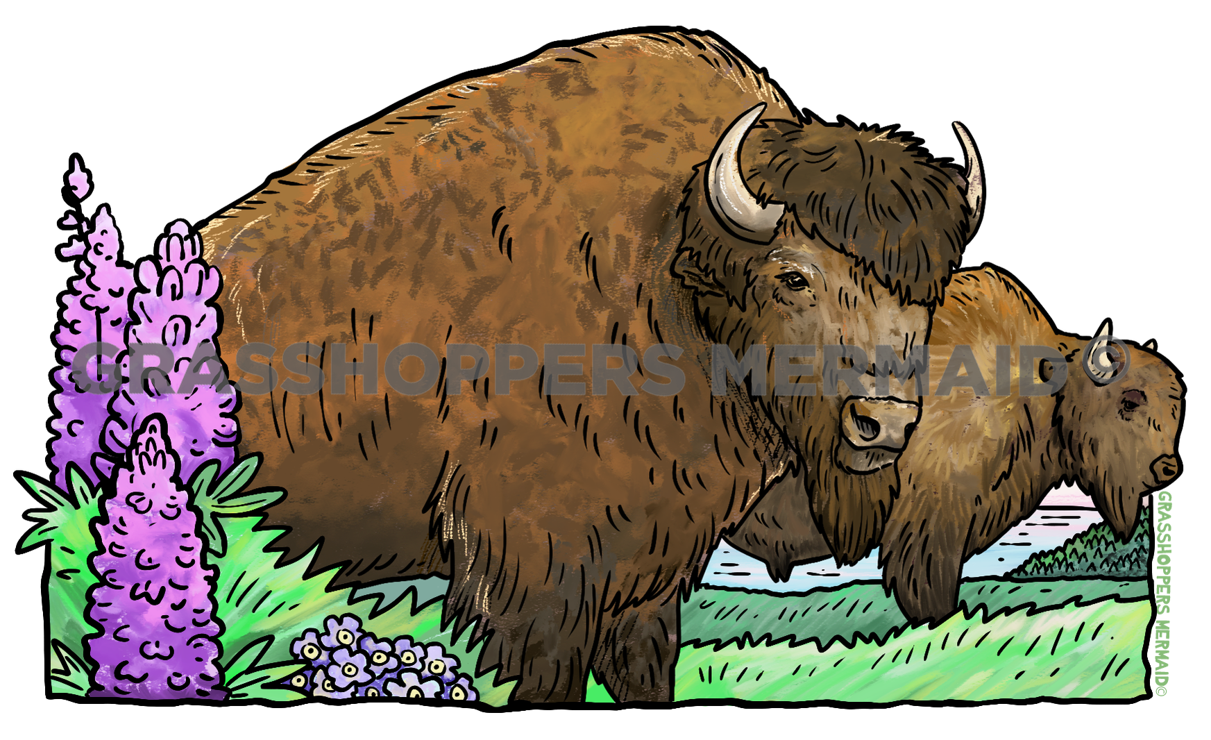 Watercolor Bison Flowers