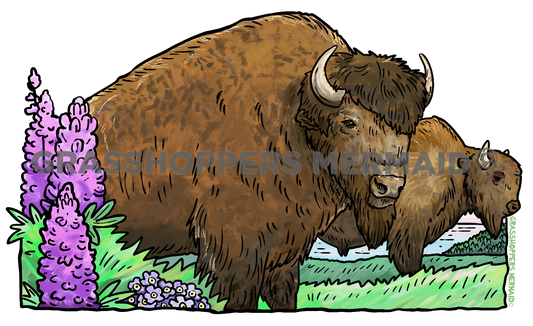 Watercolor Bison Flowers