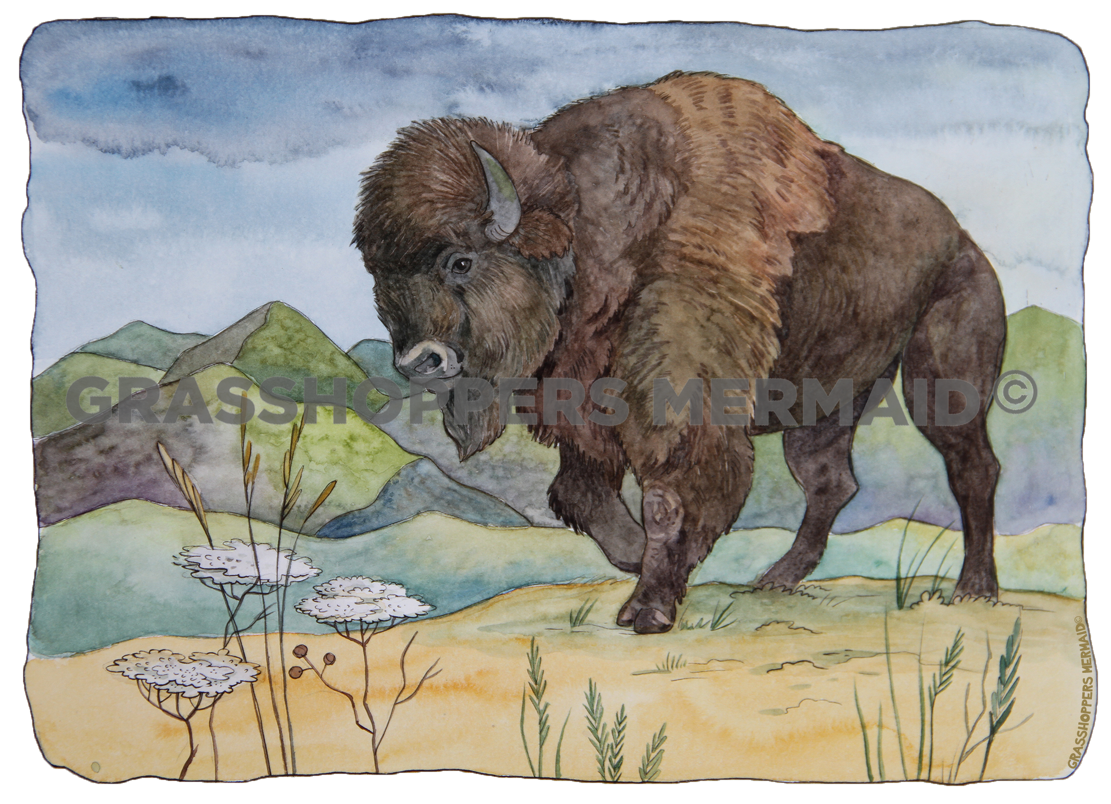 Watercolor Bison Scenery