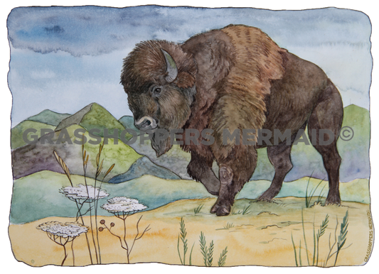 Watercolor Bison Scenery