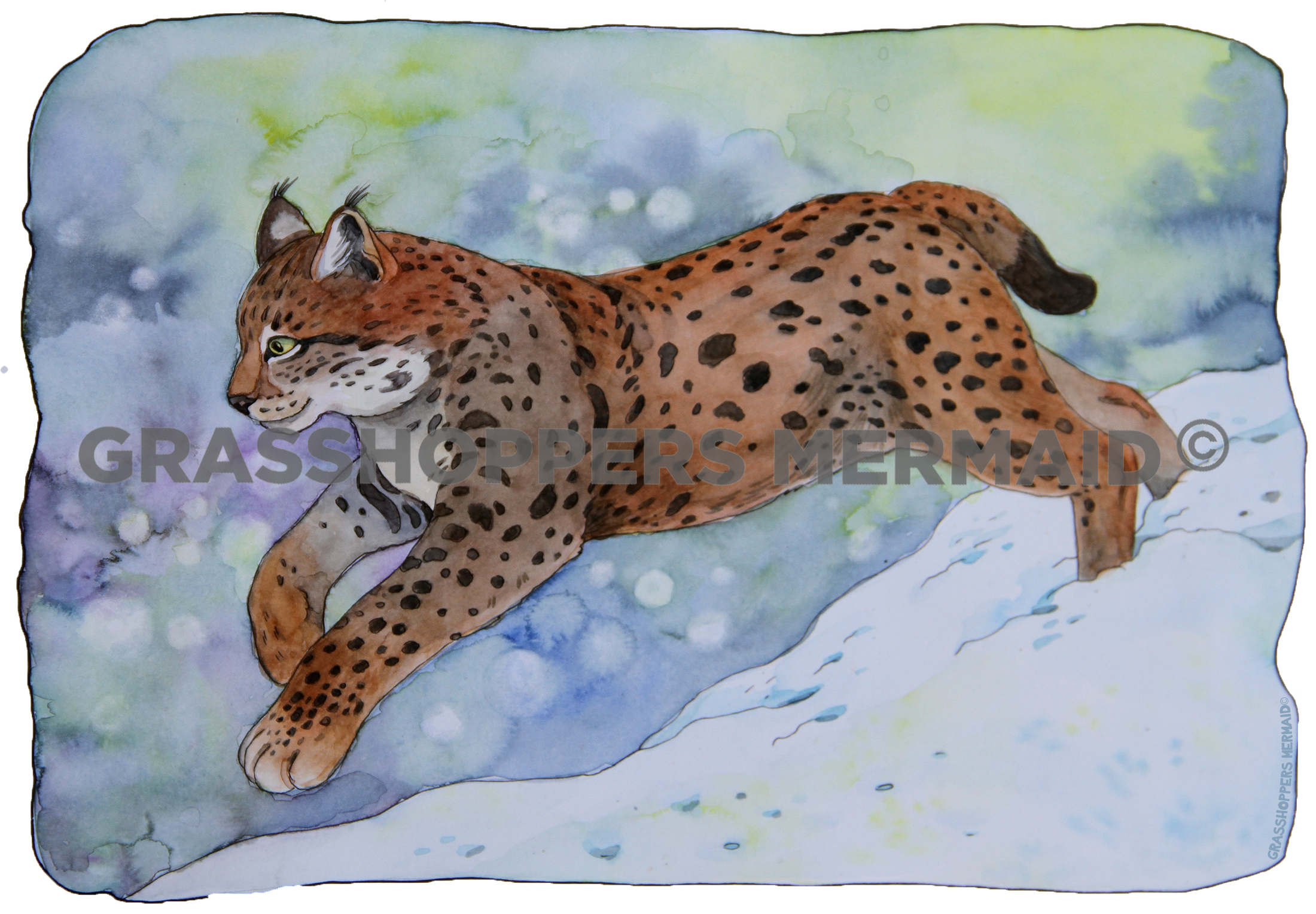 Watercolor Bobcat Running