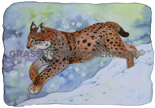Watercolor Bobcat Running