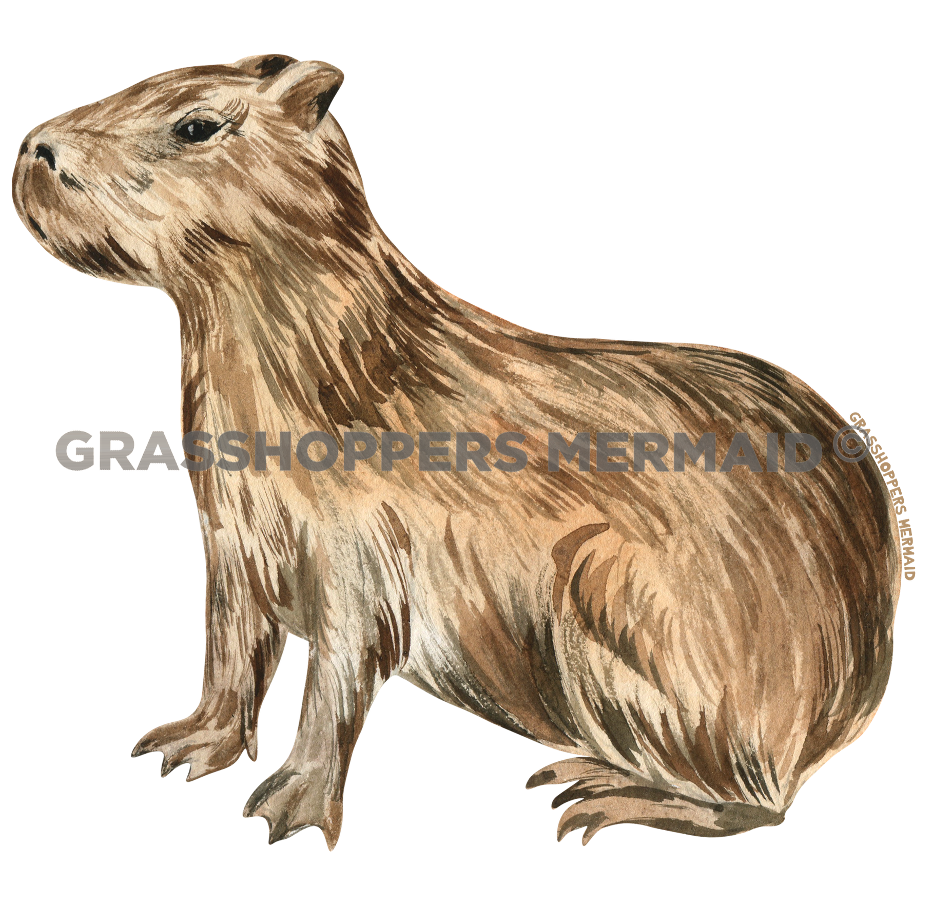 Watercolor Capybara