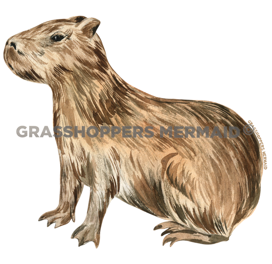 Watercolor Capybara